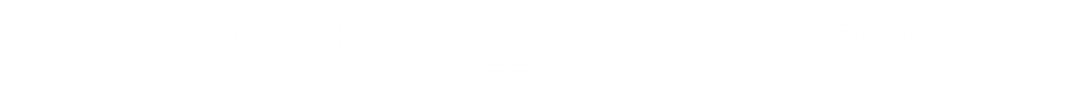 リモワ・サルサエアーのへこみ修理